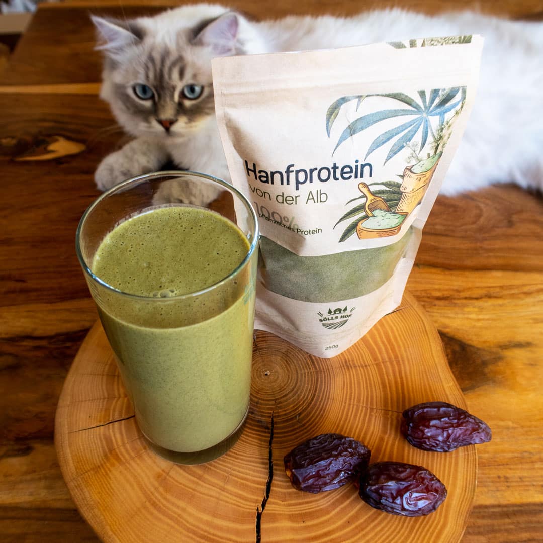 Hanfproteinshake