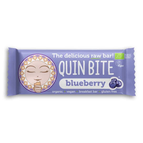 Bio Blueberry Rohkost Riegel - Quin Bite